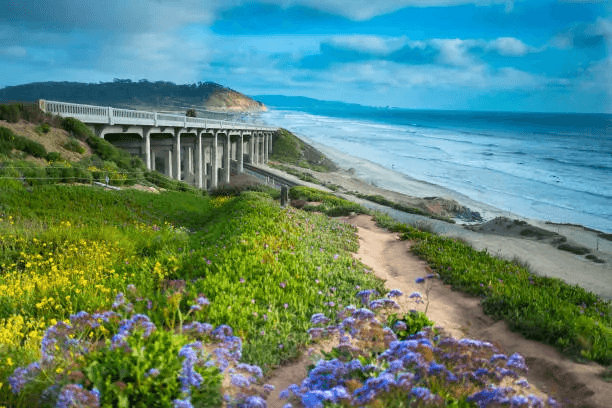 CoverCo custom covers